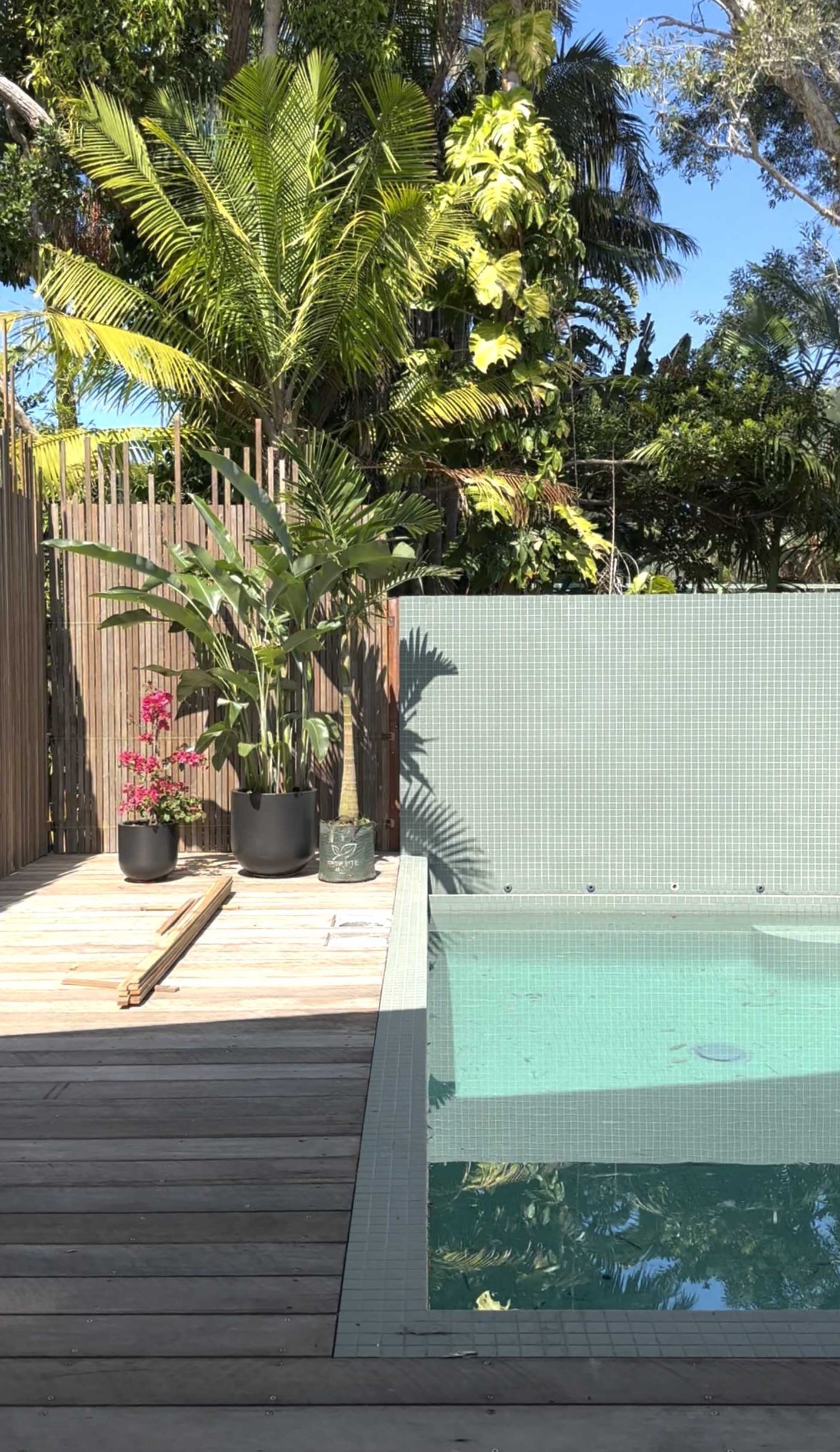 Modern architect designed pool under construction with green mosaic tiles, timber decking and timber batten screens